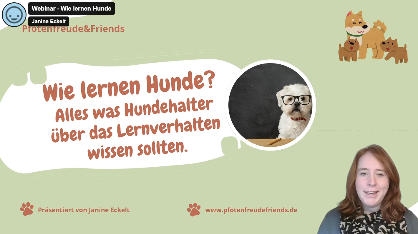 Webinar: Wie lernen Hunde?