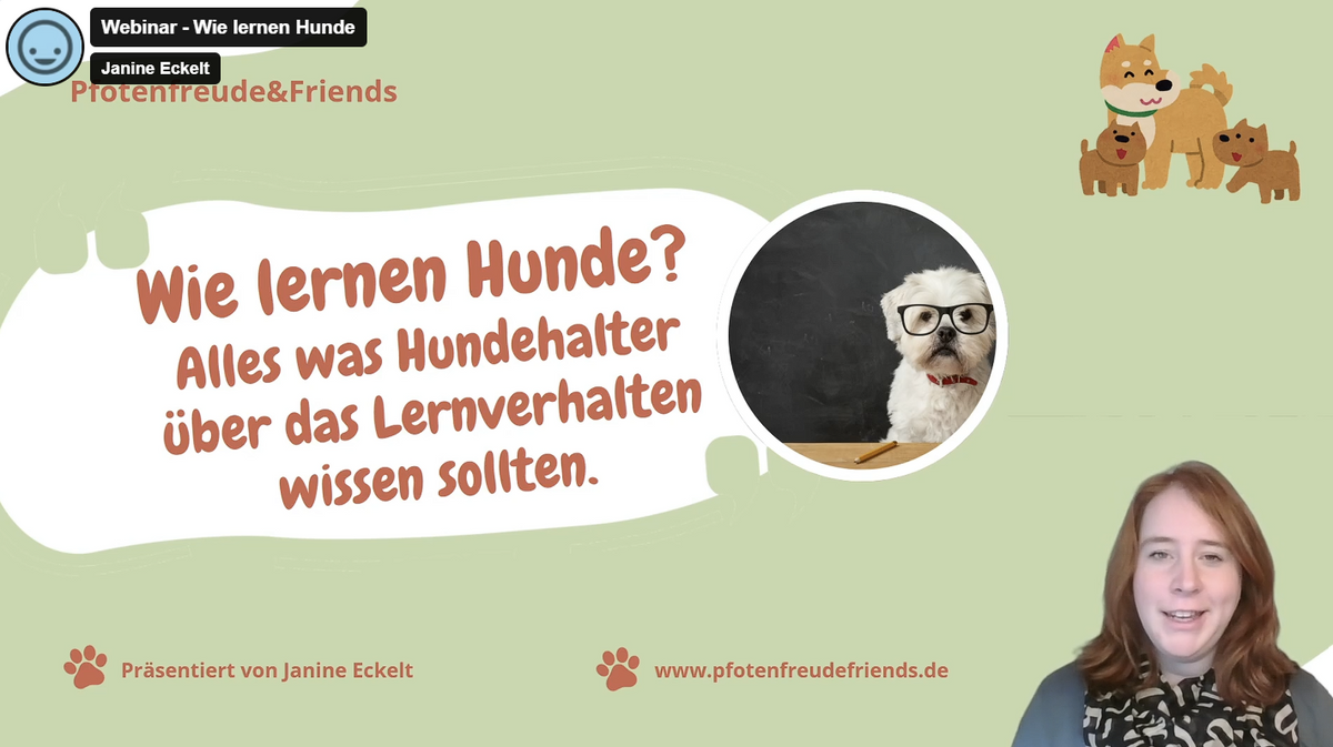 Webinar: Wie lernen Hunde?