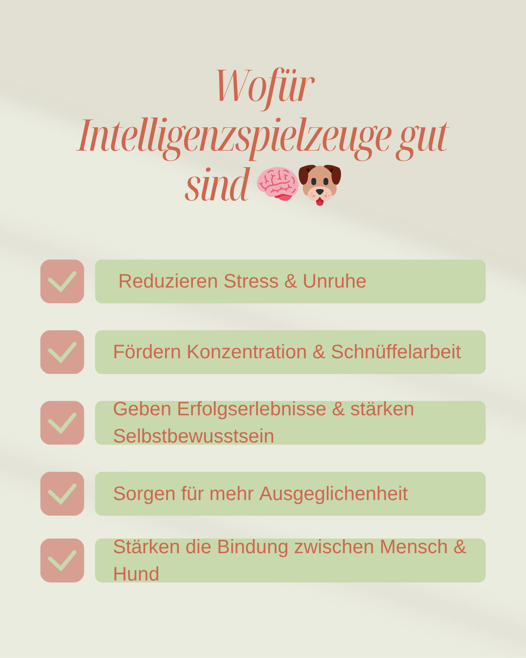 Pyramide – Intelligenzspiel für Hunde | Anspruchsvoll