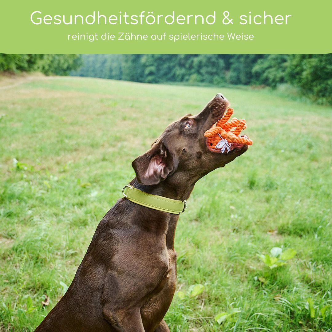 Thaddäus Tintenfisch – Handgeknüpftes Hundespielzeug aus Baumwolle