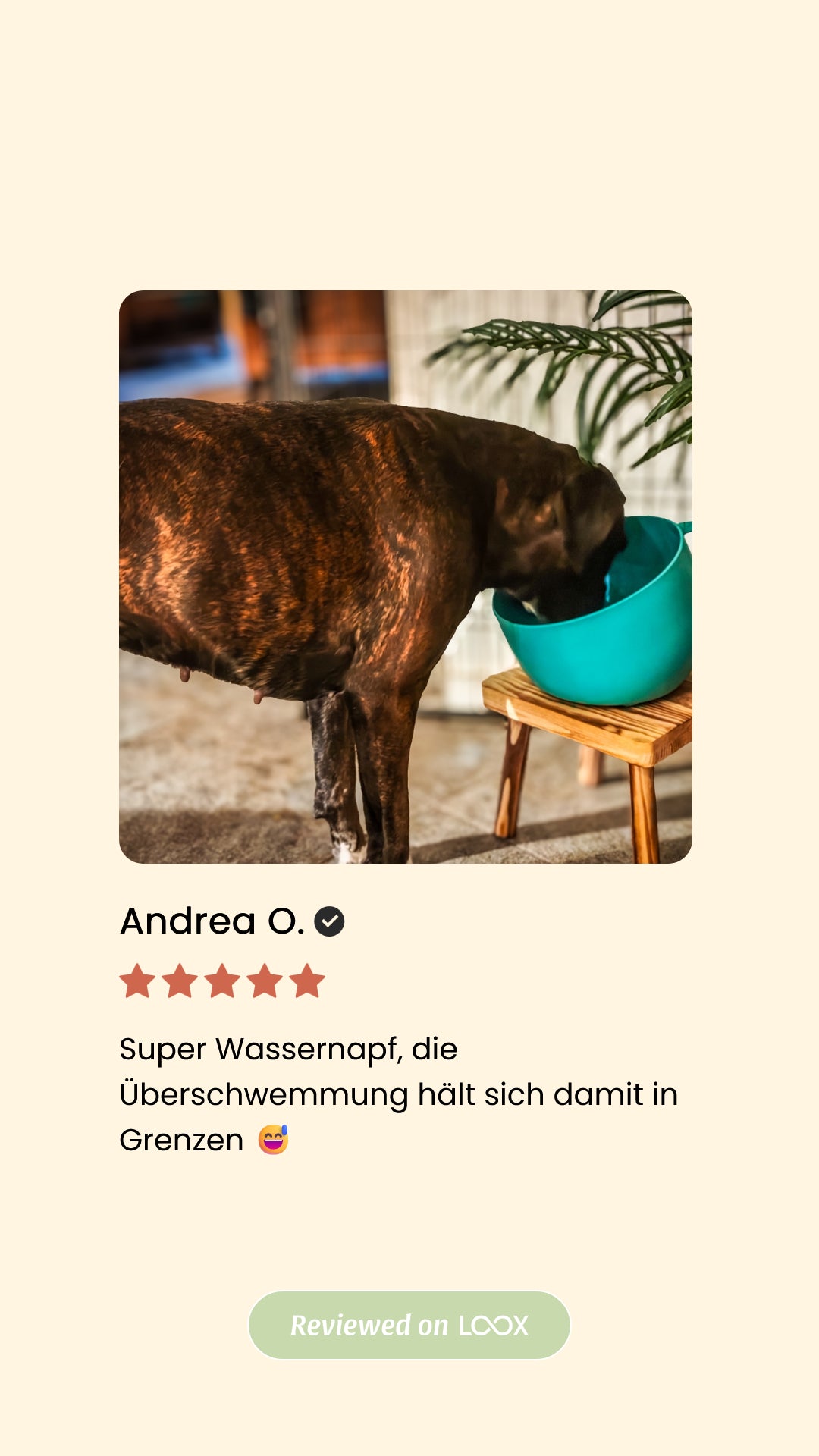 Antischlabbernapf Tassenform – 2,5L, Recycelt &amp; Spritzfreies Trinken