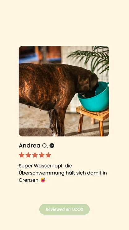Antischlabbernapf Tassenform – 2,5L, Recycelt &amp; Spritzfreies Trinken