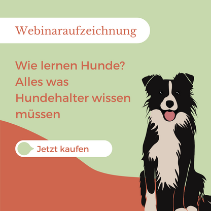 Webinar: Wie lernen Hunde?