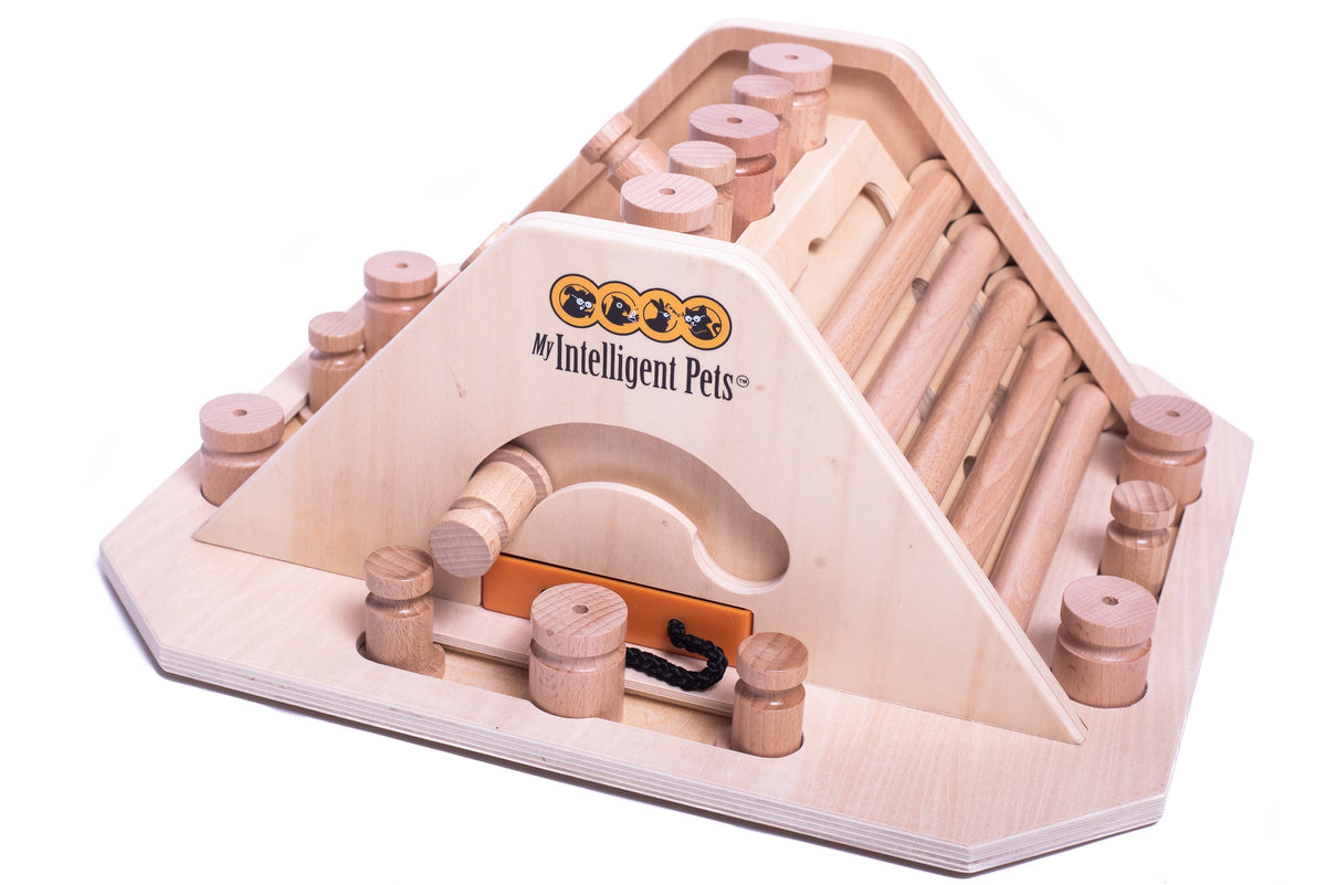 Pyramide – Intelligenzspiel für Hunde | Anspruchsvoll