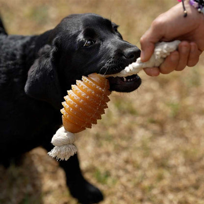 Rub Rugby Spike &amp; Rope Hundespielzeug - M