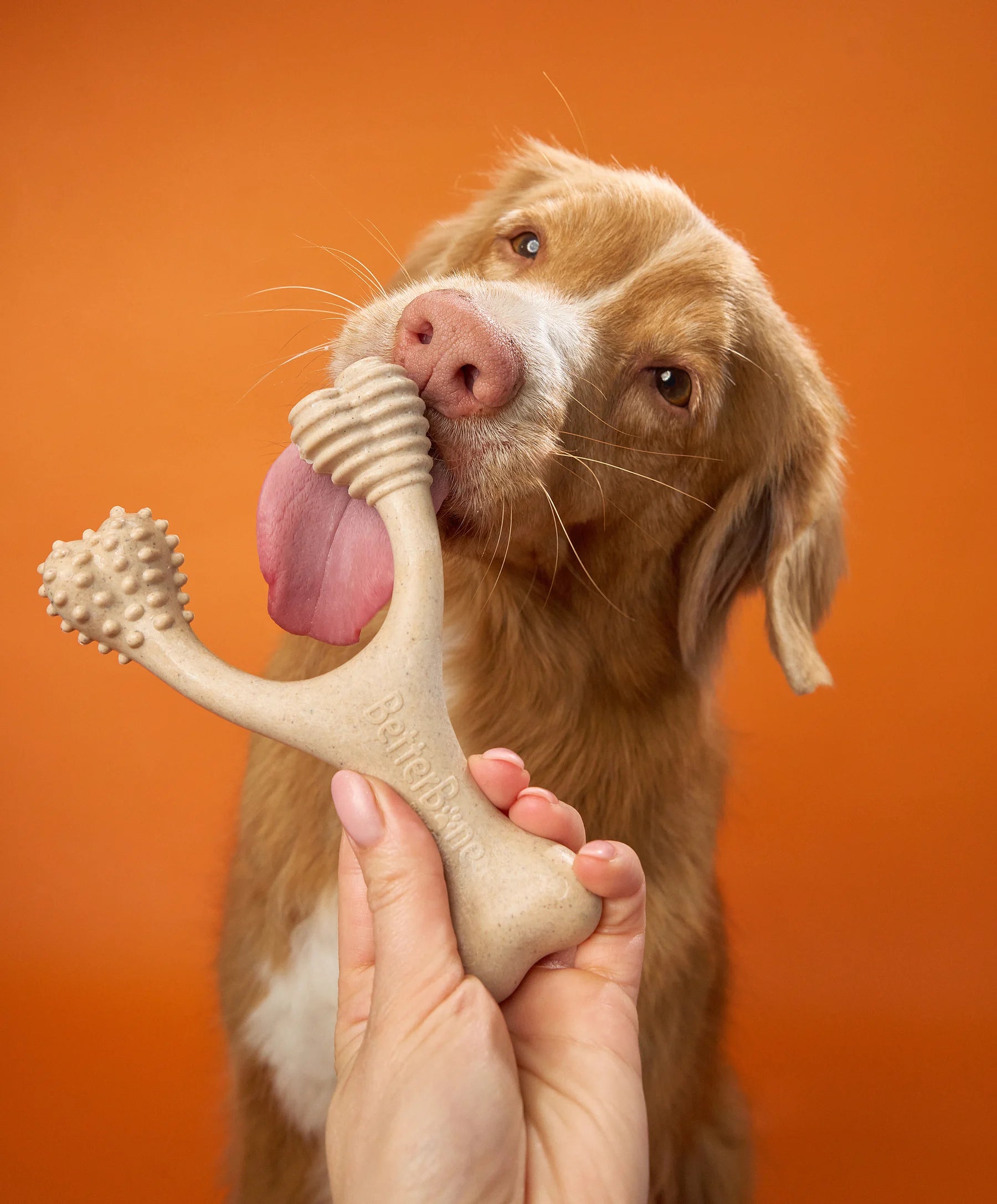 BetterBone Hundeknochen – Nachhaltig, Zahnfreundlich &amp; Langlebiges Kauspielzeug