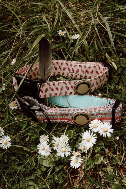 Boho - Halsband – gepolstert, verstellbar &amp; robust - Pfotenlieblinge