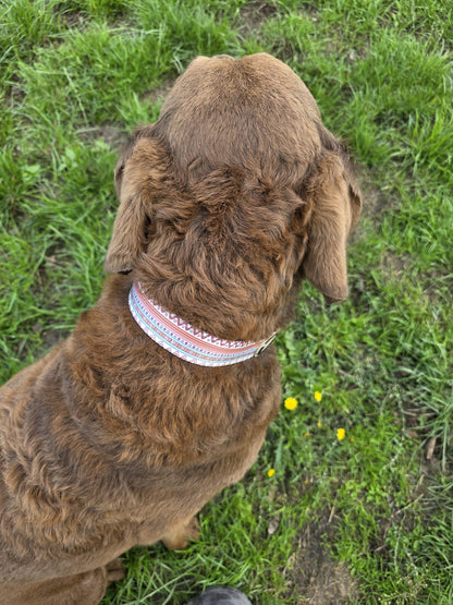 Boho - Halsband – gepolstert, verstellbar &amp; robust - Pfotenlieblinge