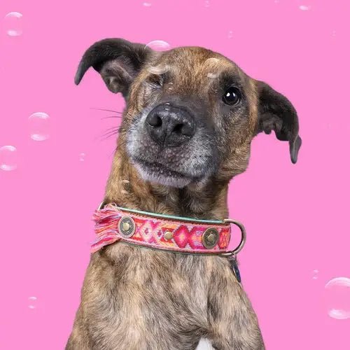 Boho Rosa Hundehalsband aus Leder – Einzigartig &amp; Handgefertigt - Pfotenlieblinge