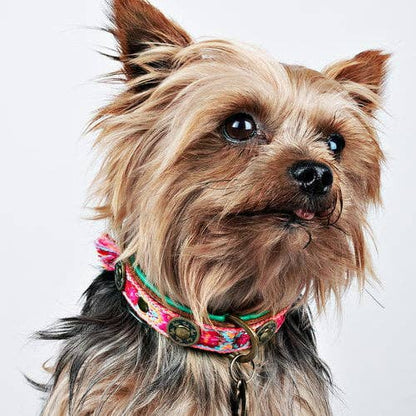 Boho Rosa Hundehalsband aus Leder – Einzigartig &amp; Handgefertigt - Pfotenlieblinge