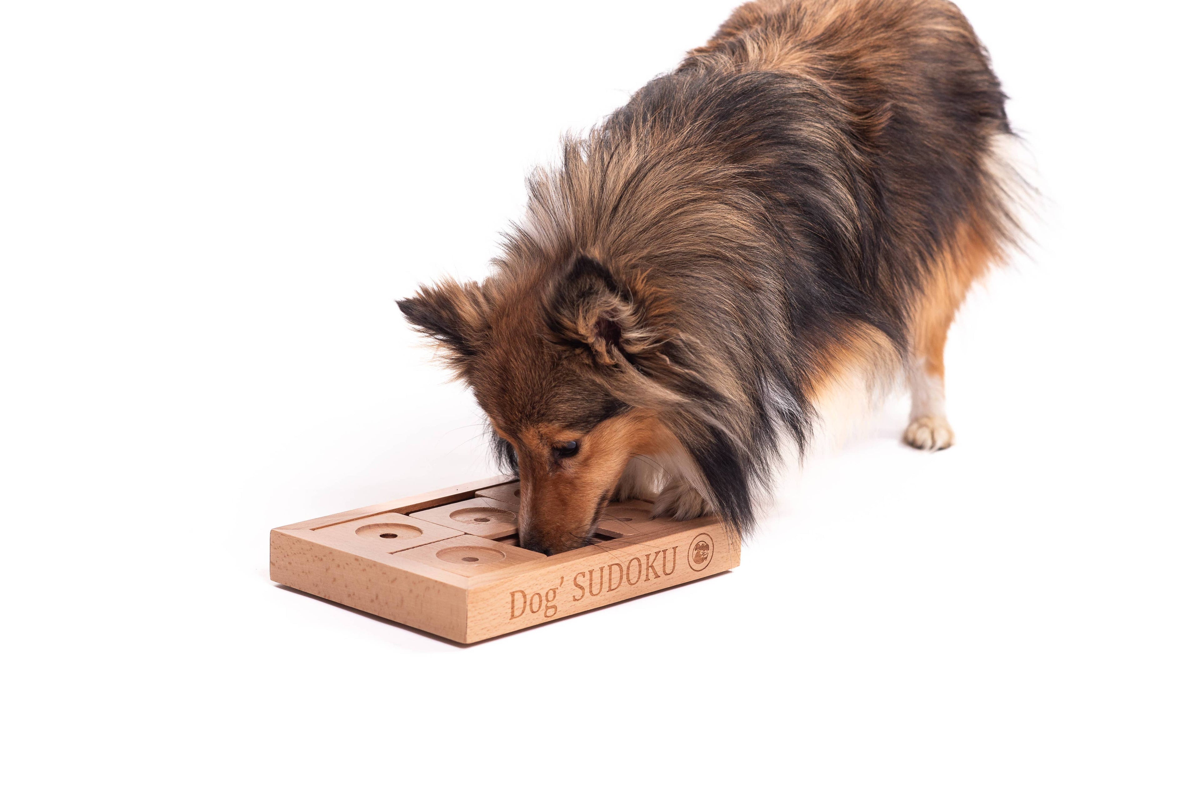 SUDOKU Small Advanced - Hunde- und Katzenpuzzle