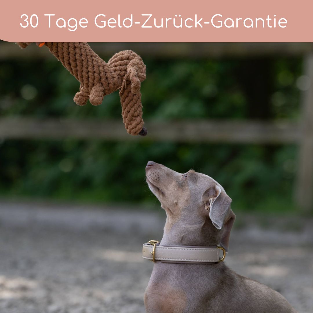 Diego Dackel – Handgefertigtes Kauspielzeug aus Baumwolle für Hunde - Flokido