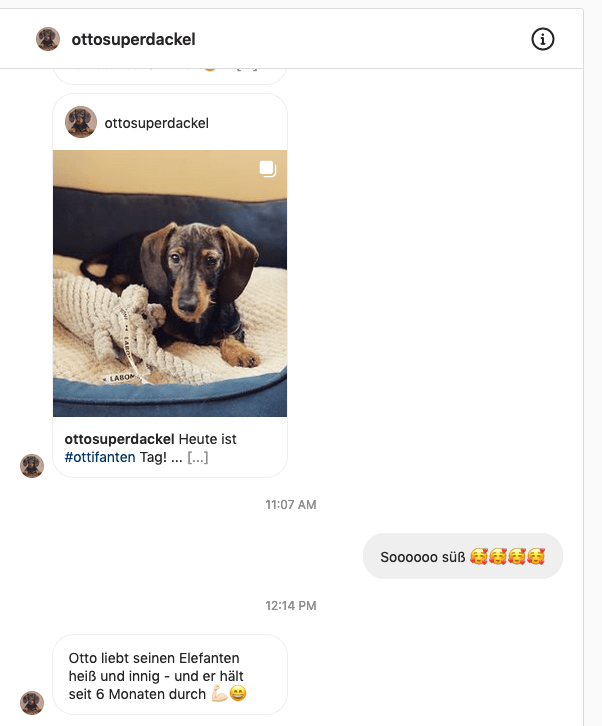 Elton Elefant Hundespielzeug – robust &amp; zahnpflegend - Flokido