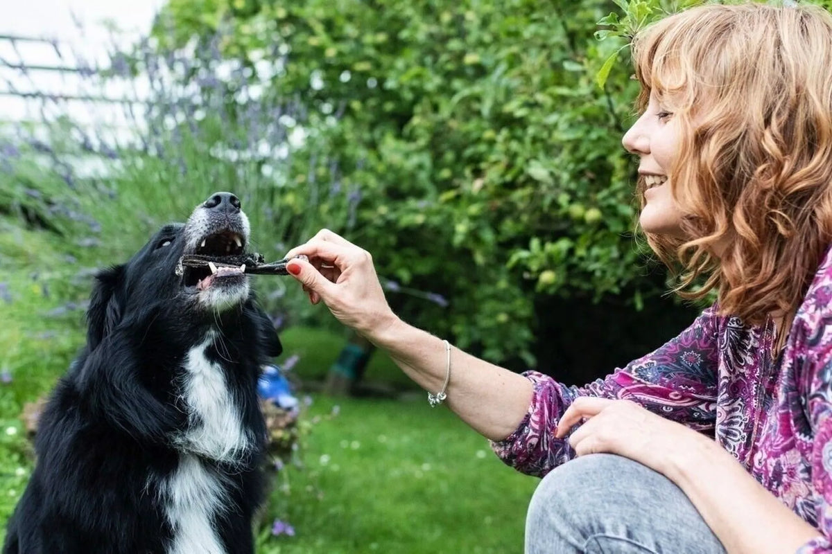 Rindermix 500 g – Natürliche Kauartikel aus Deutschland für jeden Hund