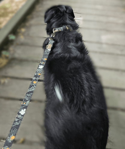 Forest Walkies Set – Nachhaltige Leine &amp; Halsband aus rPet &amp; Kaktusleder, handgemacht - Pfotenlieblinge