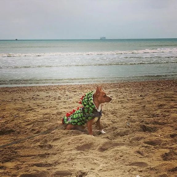 Handgefertigter Hunde - Dinosaurier - Flauschmantel - Pfotenlieblinge