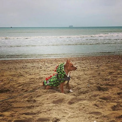 Handgefertigter Hunde - Dinosaurier - Flauschmantel - Pfotenlieblinge