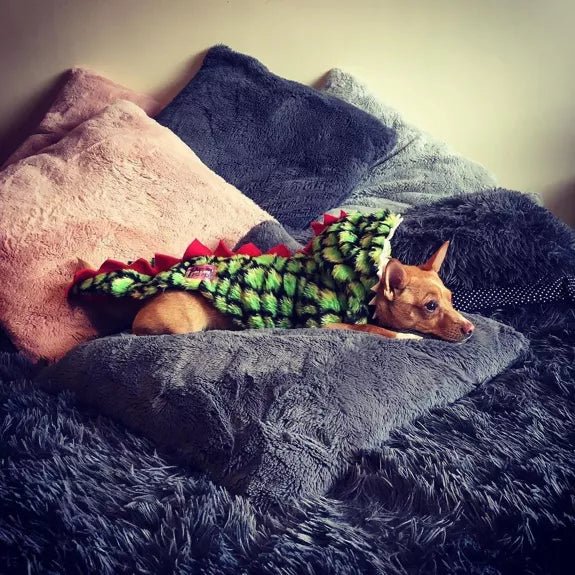 Handgefertigter Hunde - Dinosaurier - Flauschmantel - Pfotenlieblinge