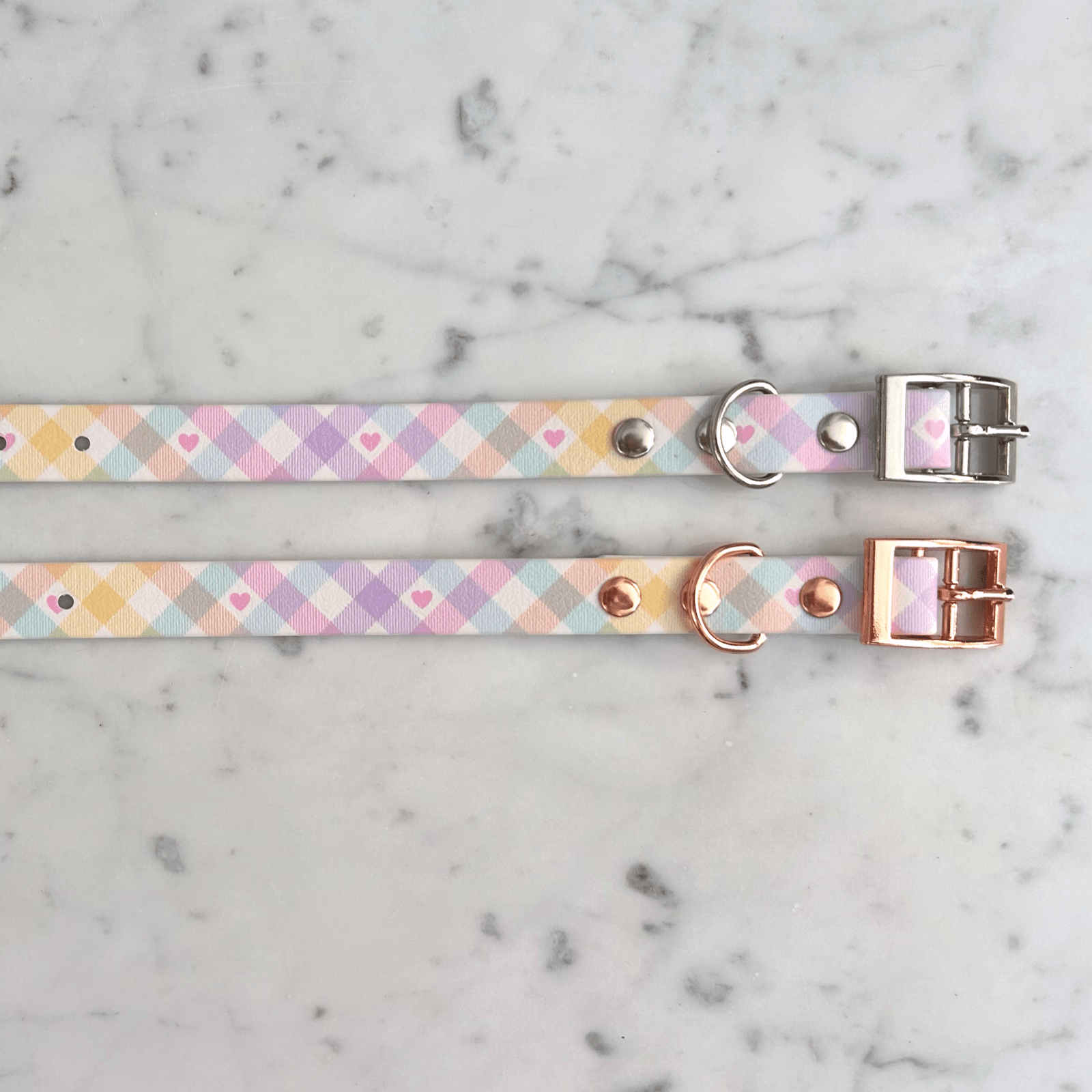 Handgemachtes Hundehalsband – Biothane &amp; exklusive Prints - Pfotenlieblinge