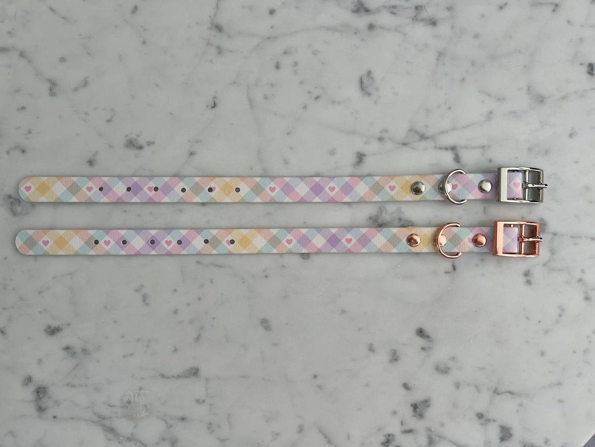 Handgemachtes Hundehalsband – Biothane &amp; exklusive Prints - Pfotenlieblinge