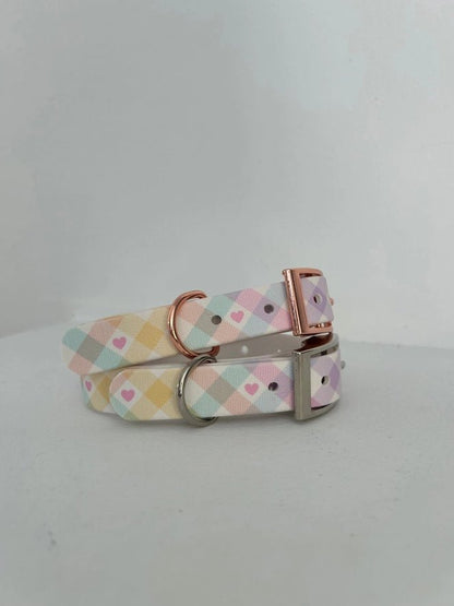 Handgemachtes Hundehalsband – Biothane &amp; exklusive Prints - Pfotenlieblinge