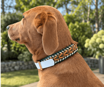 Handgemachtes Paracord-Hundehalsband "Amber Forest" - Flokido