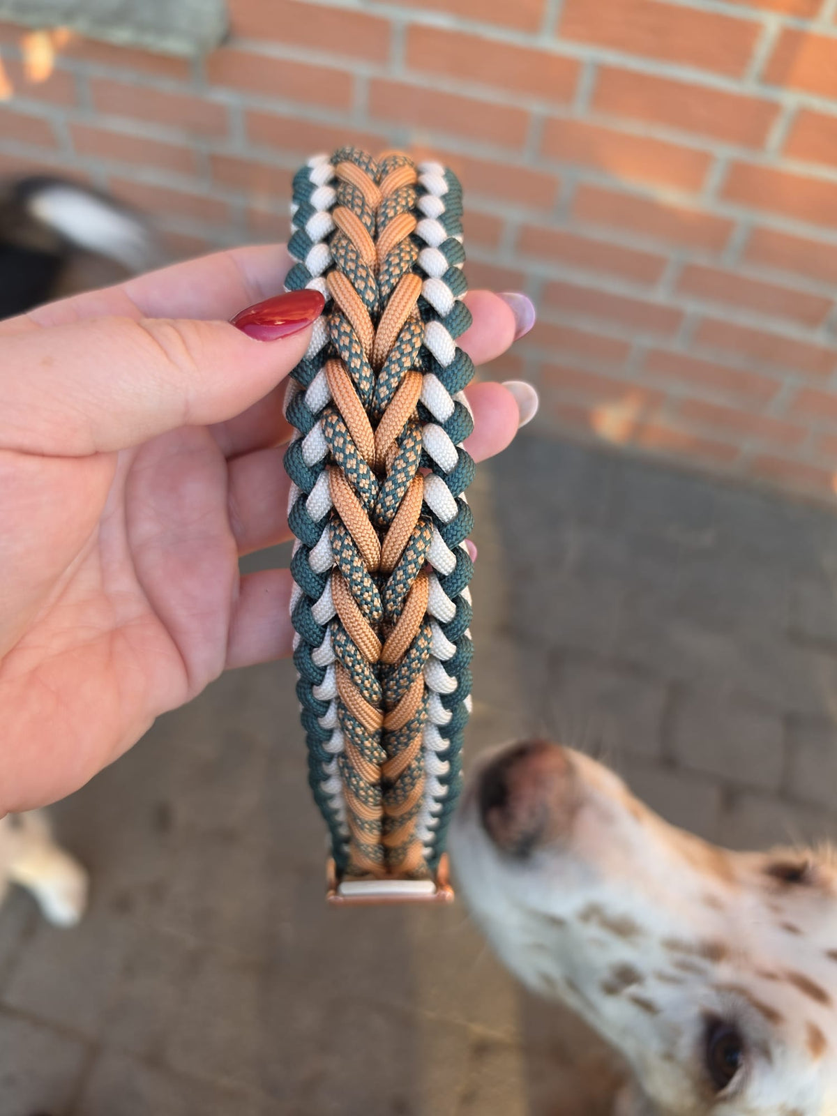 Handgemachtes Paracord-Hundehalsband "Amber Forest" - Flokido