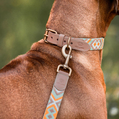 Hey Lana Führleine Mint/Orange – verstellbar &amp; handsfree - Pfotenlieblinge