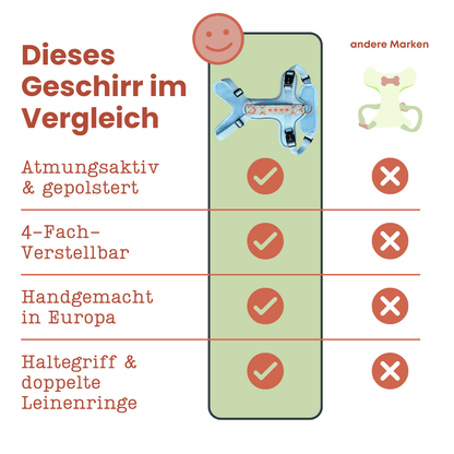 Hundegeschirr – Coral/Hellblau – Kollektion Très Chic von Hey Lana - Pfotenlieblinge