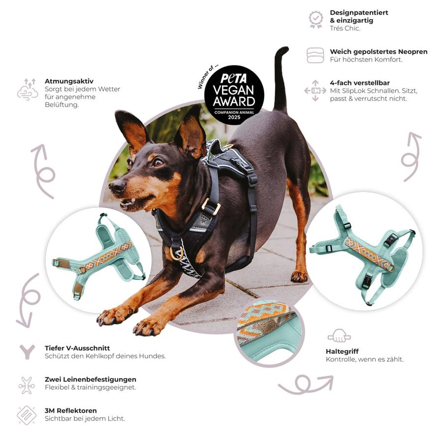 Hundegeschirr Pink/Beige – Verstellbar – Kollektion Très Chic - Pfotenlieblinge