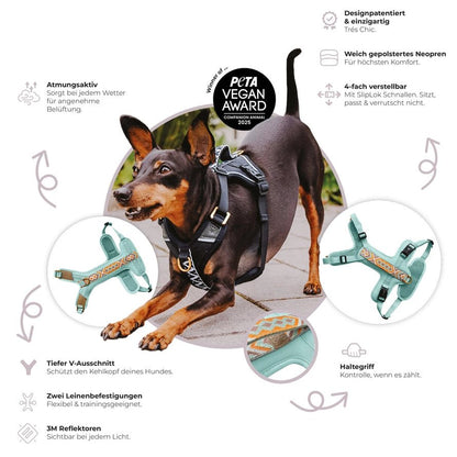 Hundegeschirr Pink/Beige – Verstellbar – Kollektion Très Chic - Pfotenlieblinge
