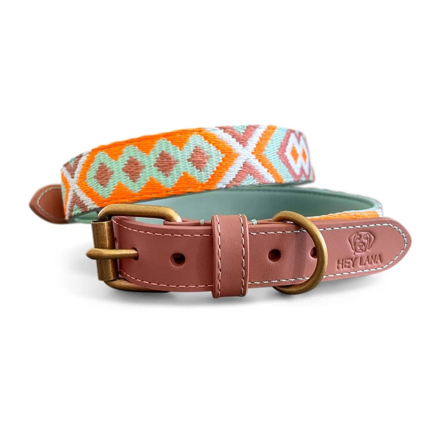 Hundehalsband – Mint/Orange – Kollektion Très Chic Hey Lana - Pfotenlieblinge