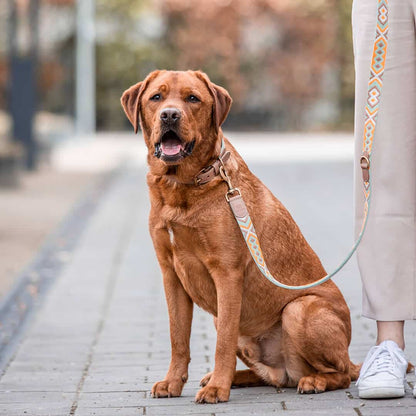 Hundehalsband – Mint/Orange – Kollektion Très Chic Hey Lana - Pfotenlieblinge