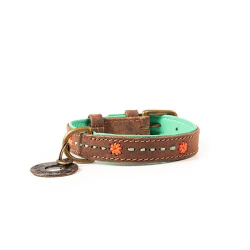Joplin Lederhalsband Braun/Türkis – Handgefertigt &amp; Stilvoll - Pfotenlieblinge