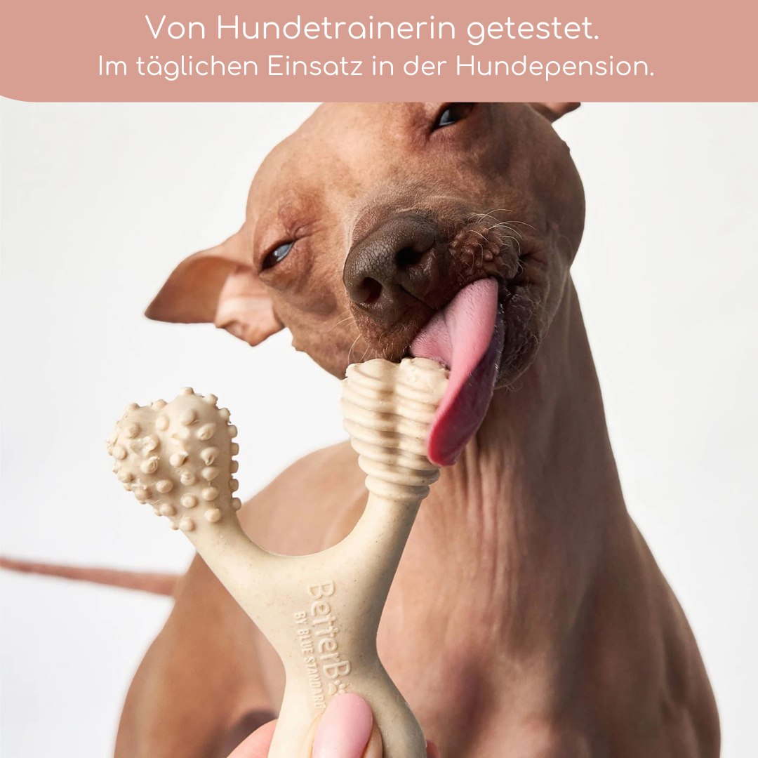 BetterBone Hundeknochen – Nachhaltig, Zahnfreundlich &amp; Langlebiges Kauspielzeug