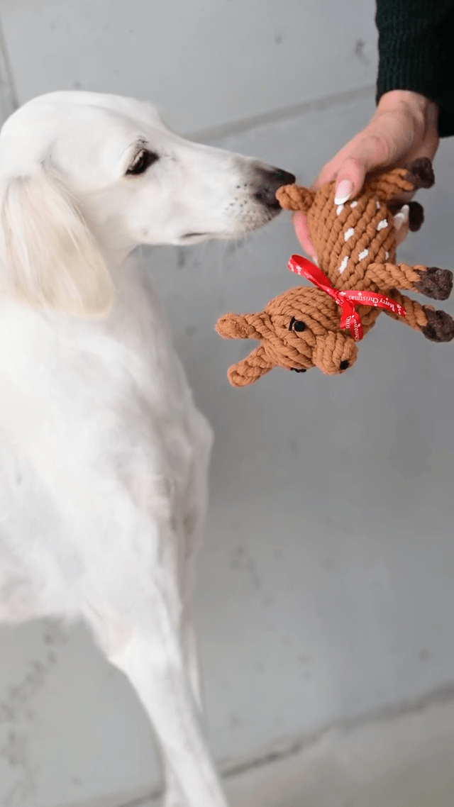 LABONI Weihnachts-Set – Shawn, Santa Sausage &amp; Rudi Rentier - Flokido