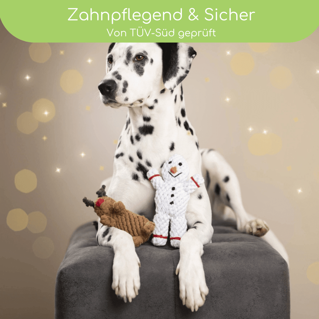 LABONI Weihnachts-Set – Shawn, Santa Sausage &amp; Rudi Rentier - Flokido