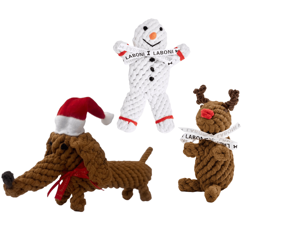 LABONI Weihnachts-Set – Shawn, Santa Sausage &amp; Rudi Rentier - Flokido