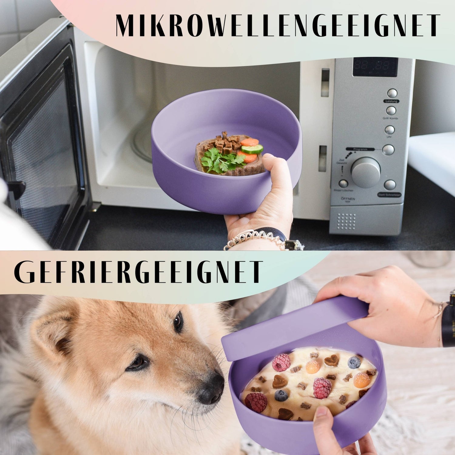 NENO Silikon - Futternapf mit Deckel – Praktisch, vielseitig &amp; durchdacht - Pfotenlieblinge