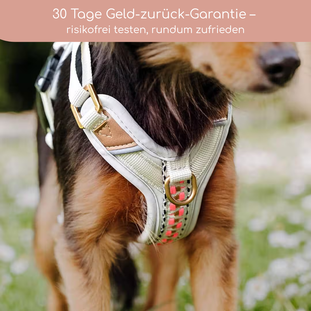Hundegeschirr Pink/Beige – Verstellbar – Kollektion Très Chic