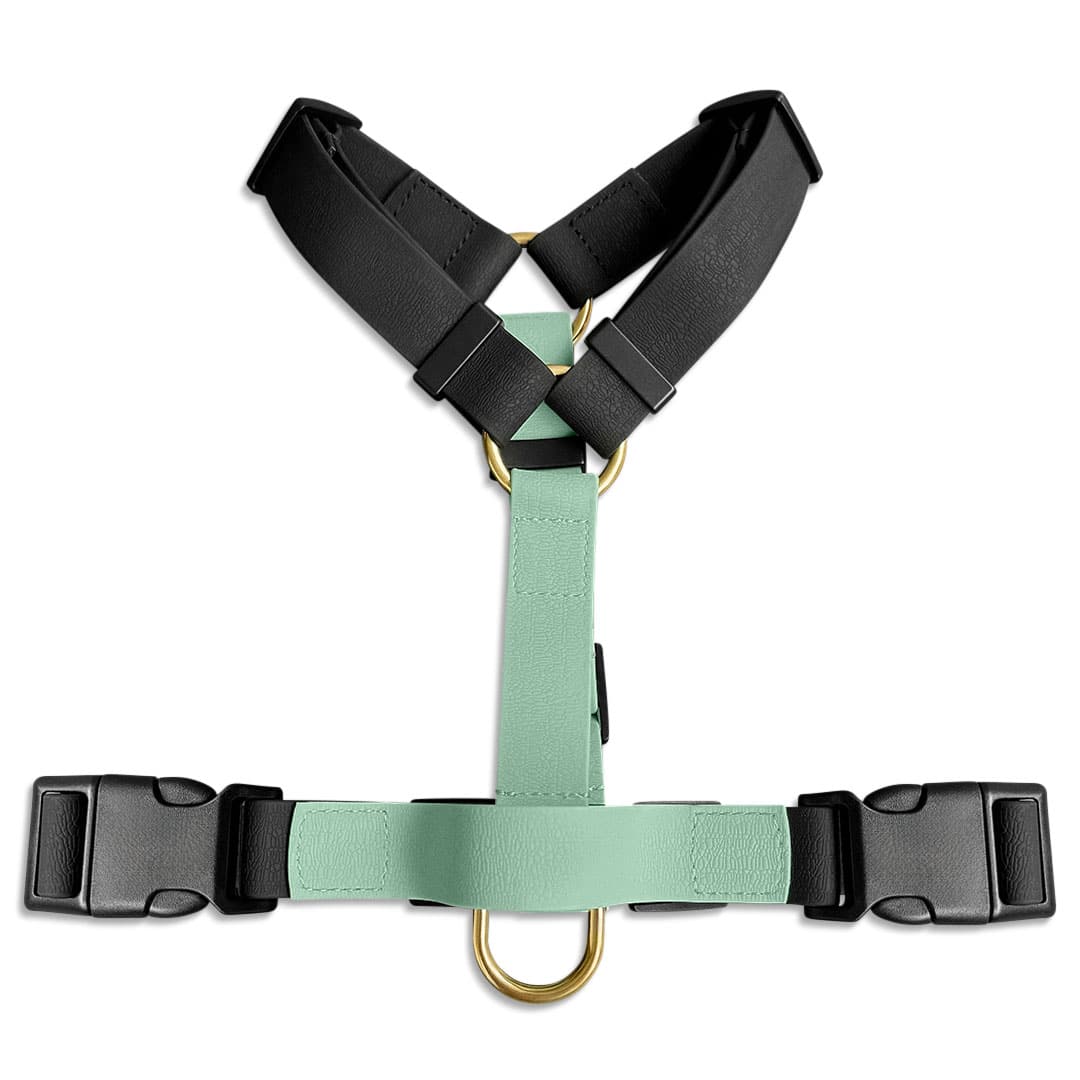Outdoor FLEX Führgeschirr – 5 - fach verstellbar mit Haltegriff (Schwarz/Mint) - Pfotenlieblinge