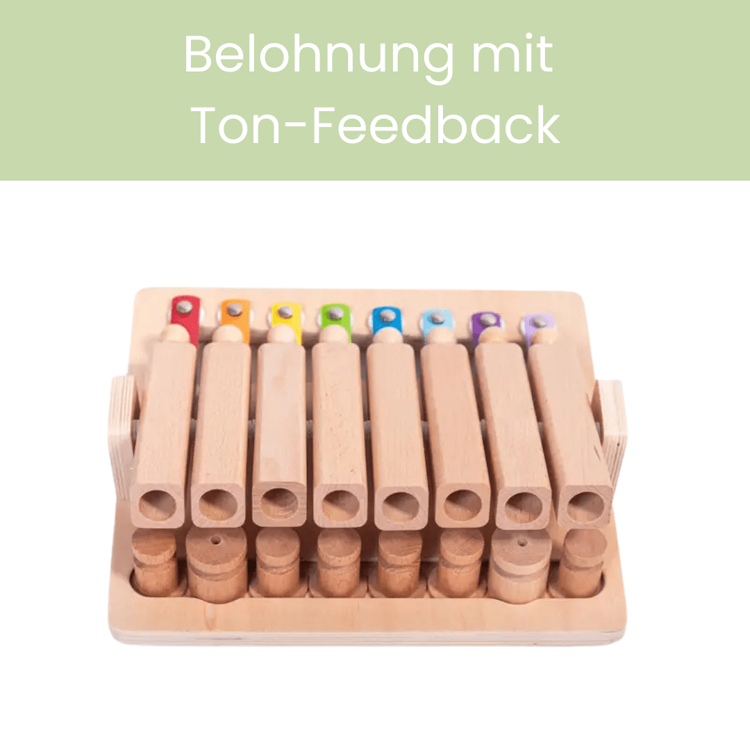 Piano - Interaktives Haustierspielzeug des Jahres Intelligenzspielzeug - Pfotenlieblinge