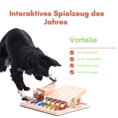 Piano - Interaktives Haustierspielzeug des Jahres Intelligenzspielzeug - Pfotenlieblinge