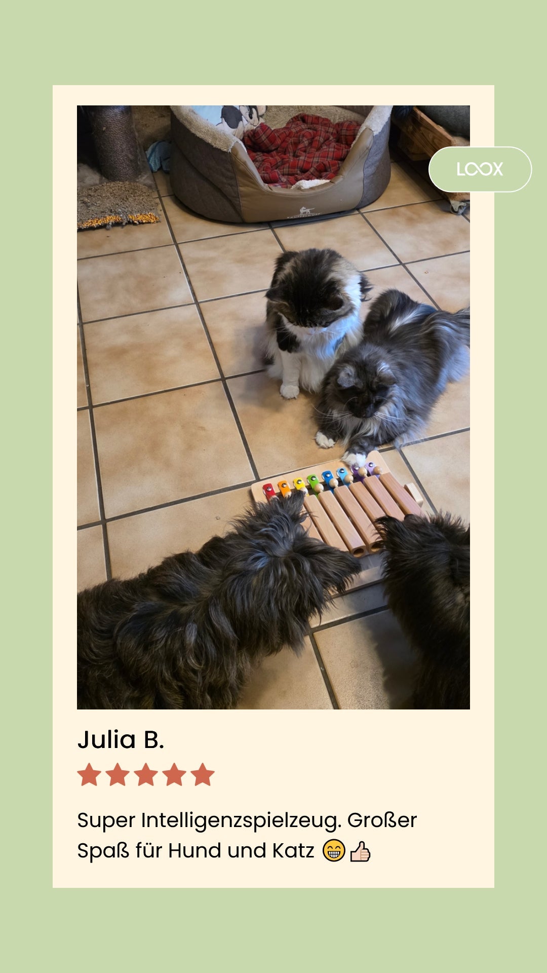 Piano – Interaktives Intelligenzspielzeug für Hunde – Spielzeug des Jahres - Flokido