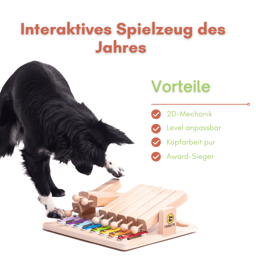 Piano – Interaktives Intelligenzspielzeug für Hunde – Spielzeug des Jahres - Flokido