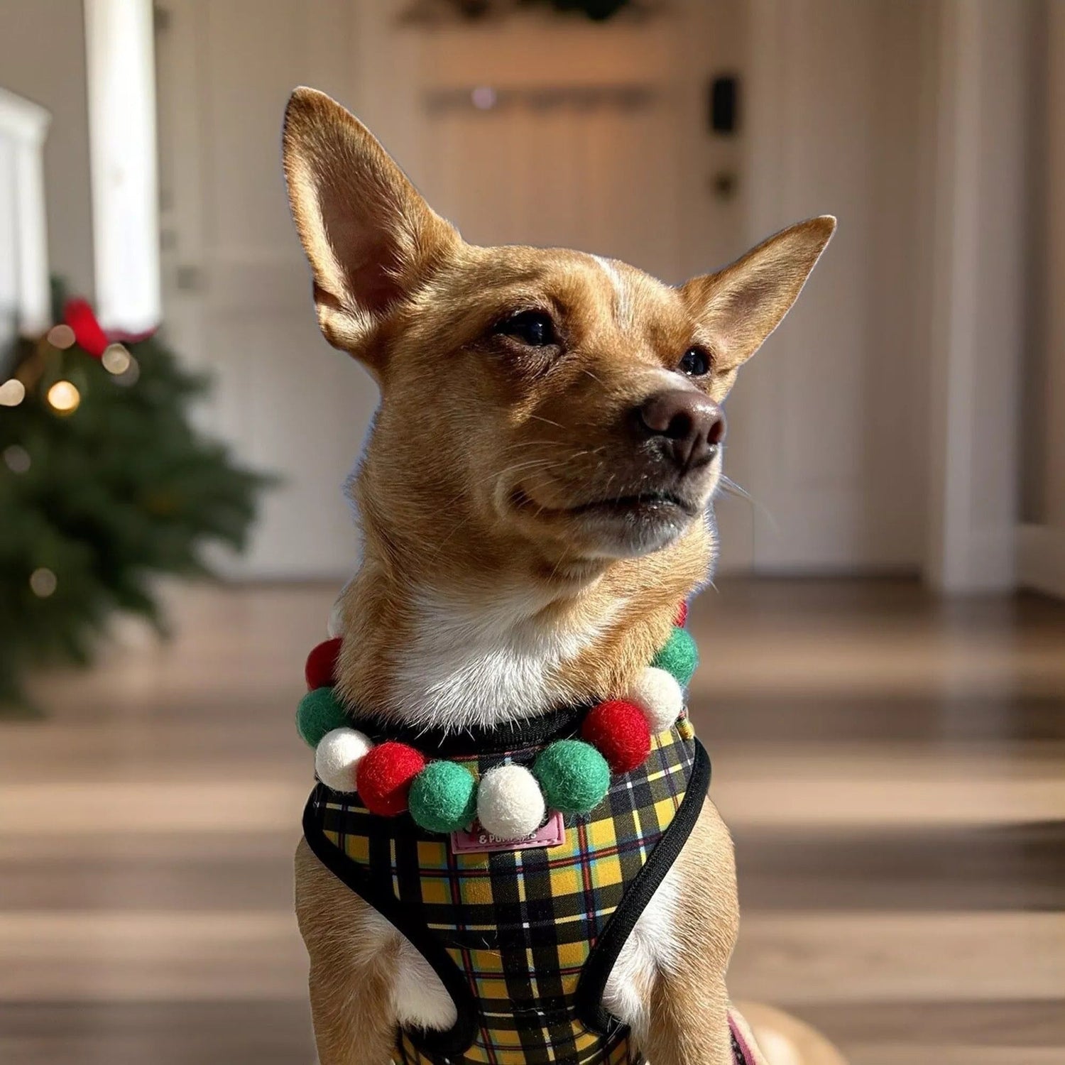 Pompon - Halsband „Christmas Edition“ – handgefertigt &amp; festlich - Pfotenlieblinge