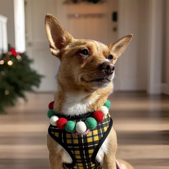 Pompon - Halsband „Christmas Edition“ – handgefertigt &amp; festlich - Pfotenlieblinge
