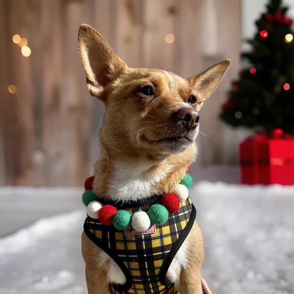 Pompon - Halsband „Christmas Edition“ – handgefertigt &amp; festlich - Pfotenlieblinge