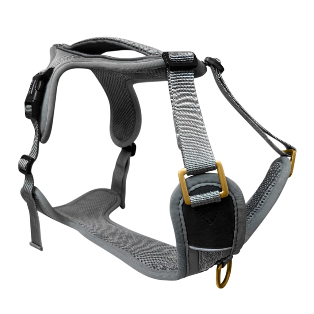 Premium Hundegeschirr – Anthrazit/Eisblau - Kollektion Tres Chic - Flokido