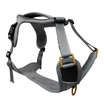 Premium Hundegeschirr – Anthrazit/Eisblau - Kollektion Tres Chic - Flokido